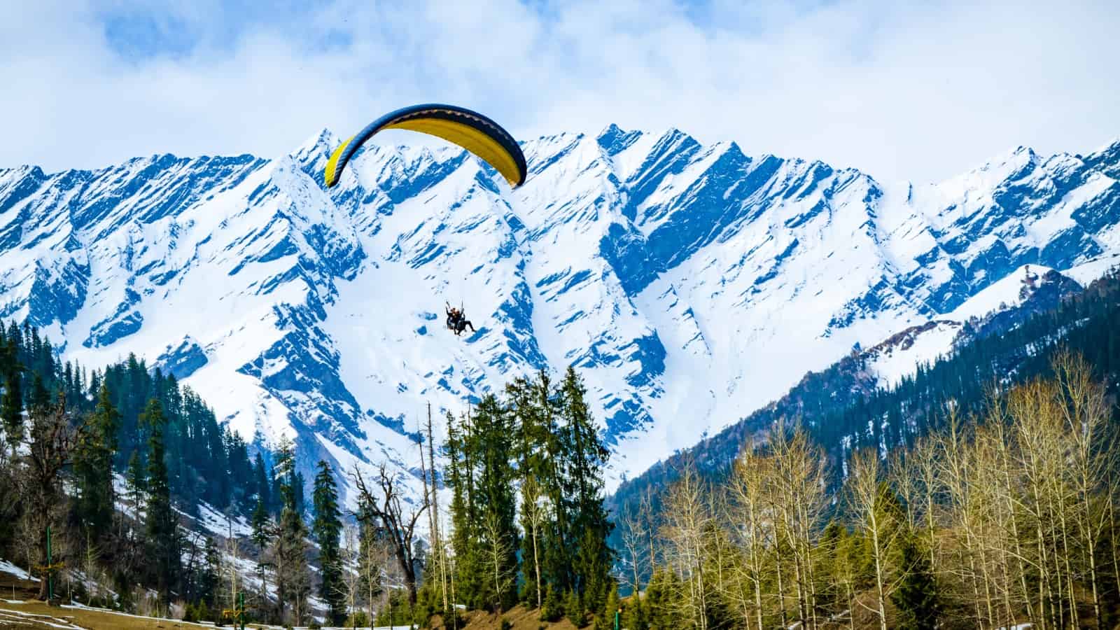 Manali Volvo Package